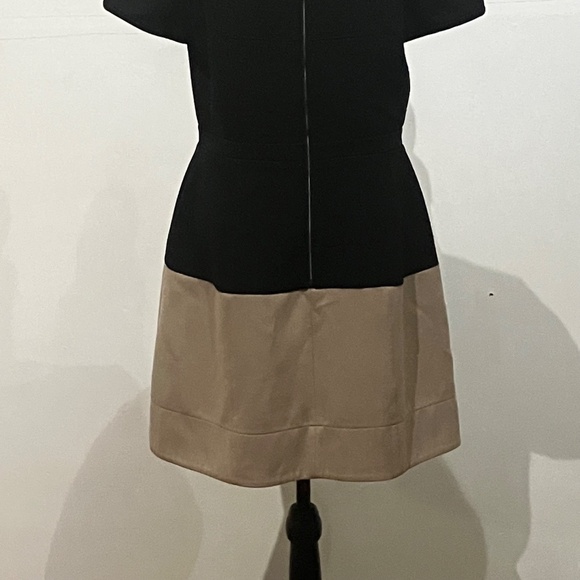 BCBG Black/Tan Colorblock Shift Dress - Picture 5 of 14